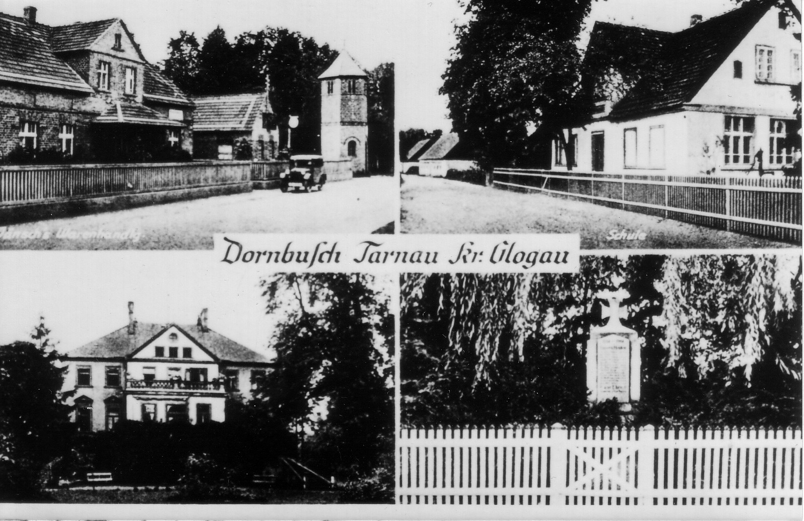 Dornbusch OT Tarnau